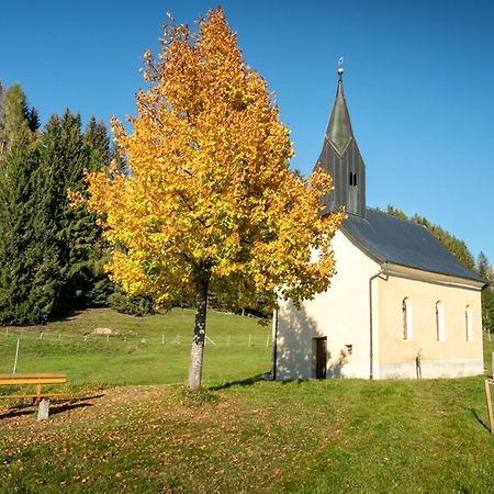 Hauserhof am Goldberg Dellach  Eksteriør billede