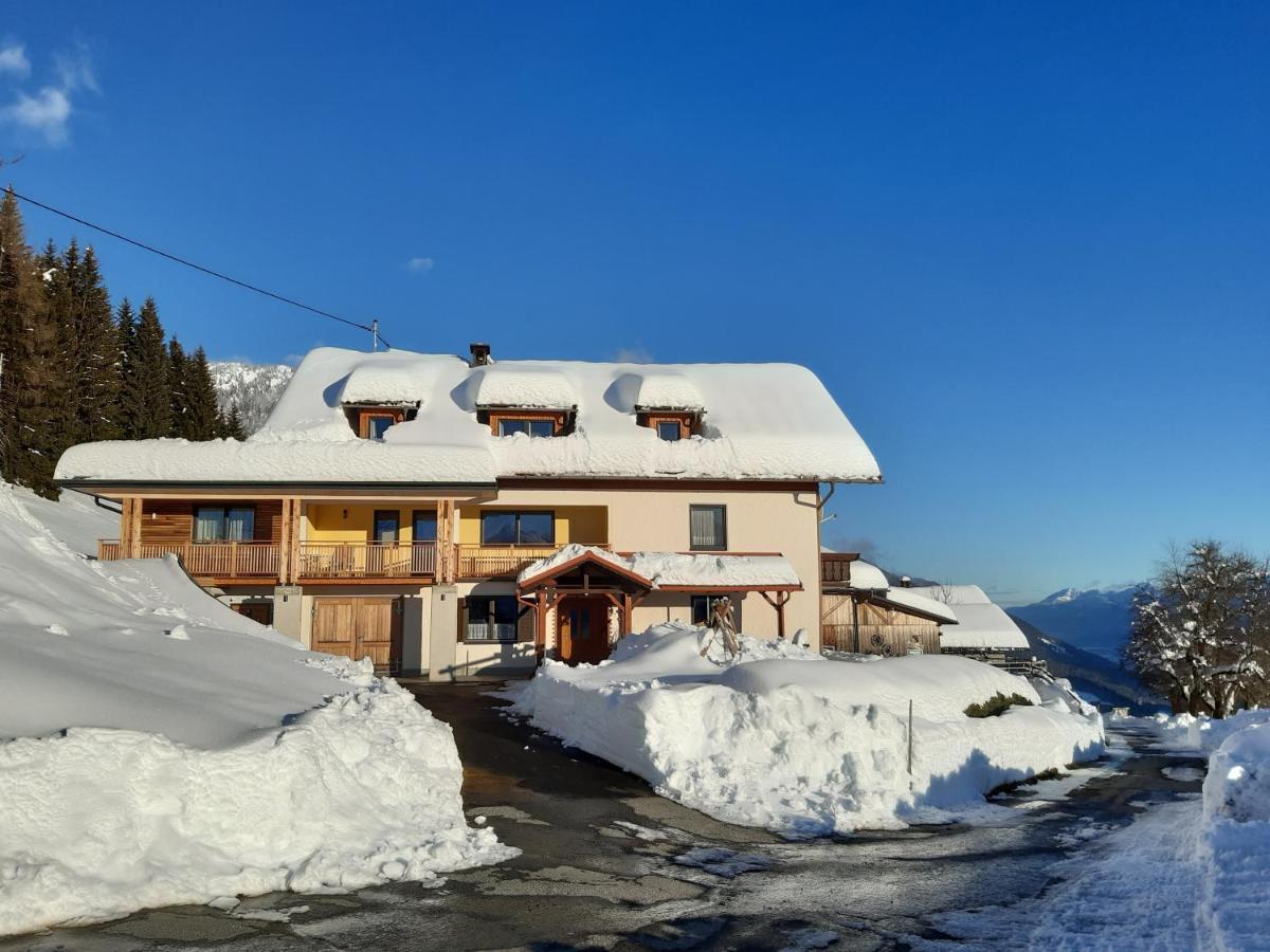 Hauserhof am Goldberg Dellach  Eksteriør billede