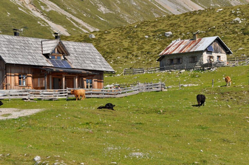 Hauserhof am Goldberg Dellach  Eksteriør billede