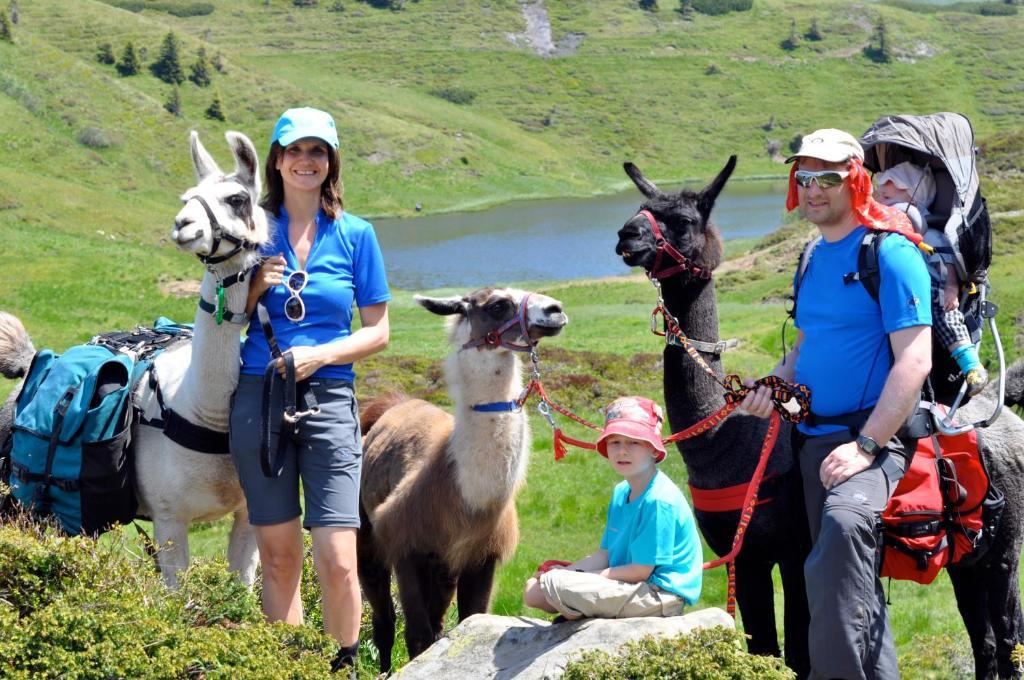 Hauserhof am Goldberg Dellach  Eksteriør billede